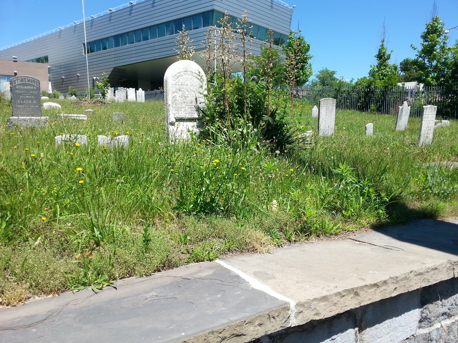 Photo of Hillside Cemetery in New York City, New York, United States - 10 Picture of Point of interest, Establishment, Cemetery