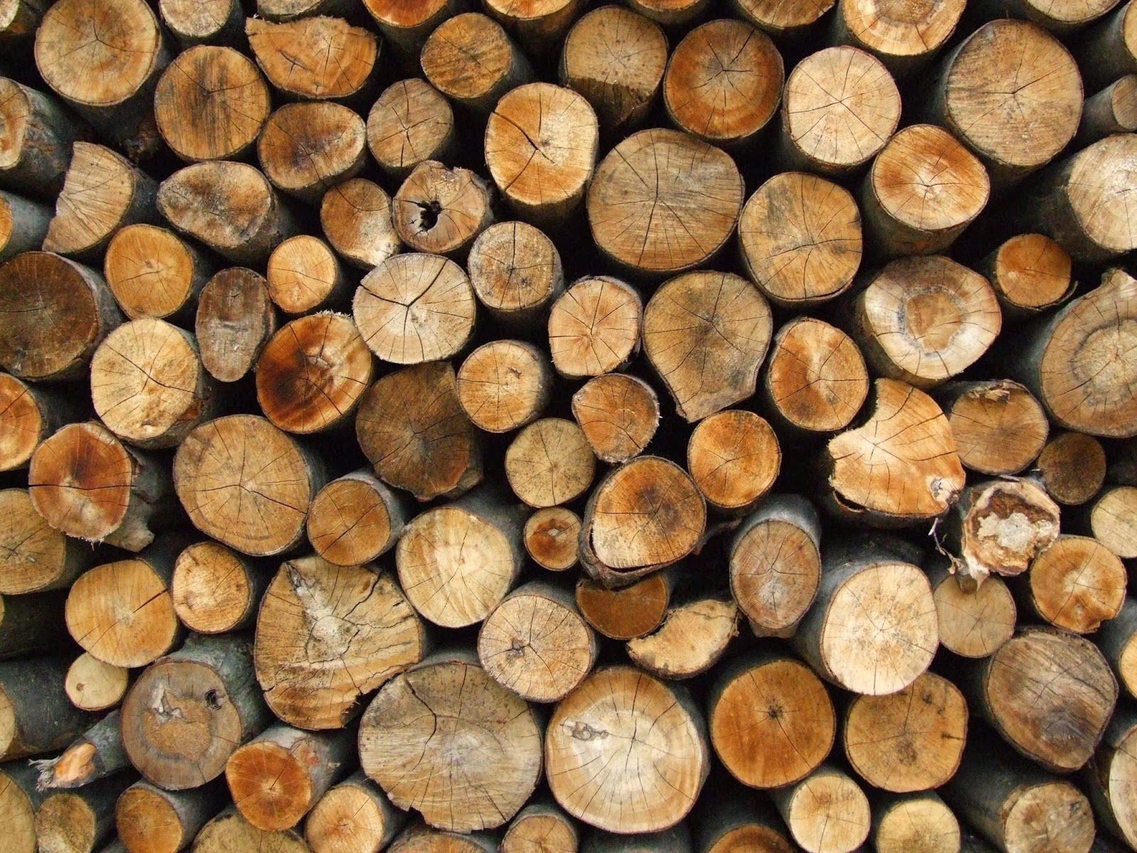 Photo of Holmdel Firewood in Holmdel City, New Jersey, United States - 4 Picture of Point of interest, Establishment, Store, Home goods store, General contractor, Furniture store
