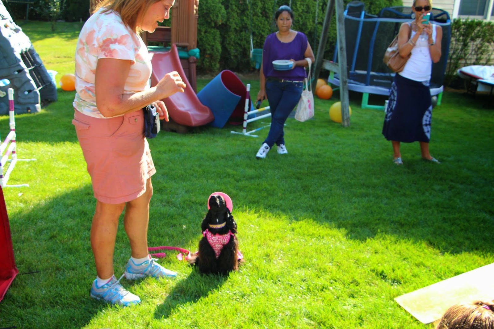 Photo of The Party Pups, Dog Shows for Children's Parties in NY, NJ & PA in Richmond City, New York, United States - 4 Picture of Point of interest, Establishment