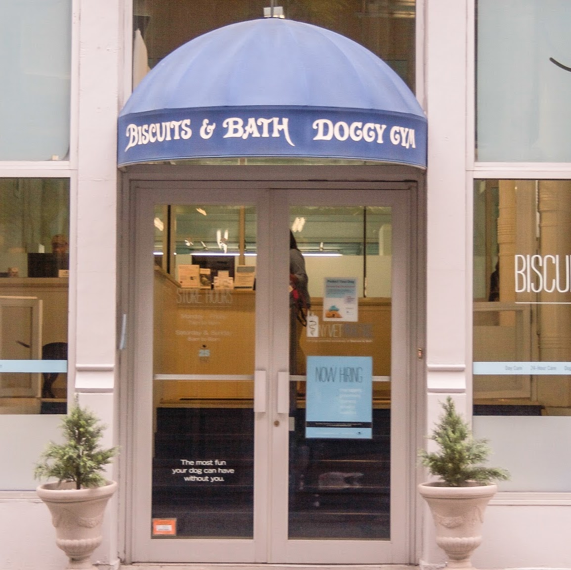 Photo of Biscuits & Bath in New York City, New York, United States - 1 Picture of Point of interest, Establishment, Veterinary care