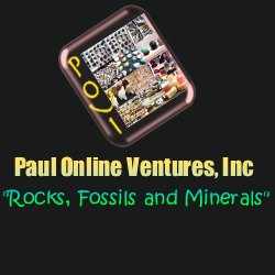 Photo of Paul Online Ventures, Inc in Mount Vernon City, New York, United States - 6 Picture of Point of interest, Establishment, Store