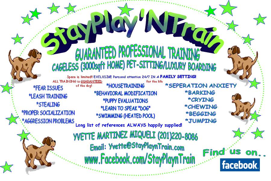 Photo of StayPlayNTrain Luxury Dog Home Boarding & Guaranteed Training in North Bergen City, New Jersey, United States - 5 Picture of Point of interest, Establishment, Park, Veterinary care