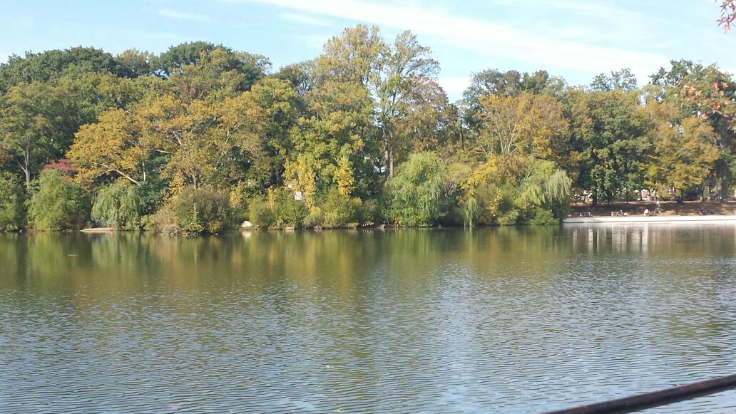 Photo of Kissena Park in Flushing City, New York, United States - 1 Picture of Point of interest, Establishment, Park