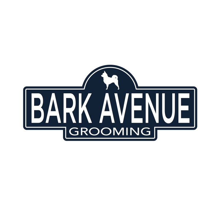 Photo of Bark Avenue Grooming in New York City, New York, United States - 7 Picture of Point of interest, Establishment