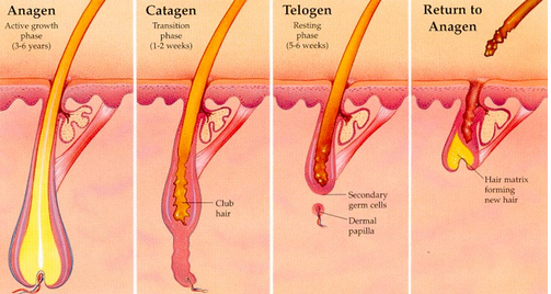 Photo of Magic Touch Electrolysis in New York City, New York, United States - 2 Picture of Point of interest, Establishment, Health, Beauty salon, Hair care