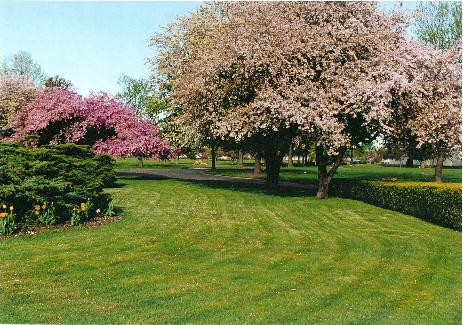 Photo of CloverLeaf Memorial Park in Woodbridge Township City, New Jersey, United States - 1 Picture of Point of interest, Establishment, Park, Cemetery