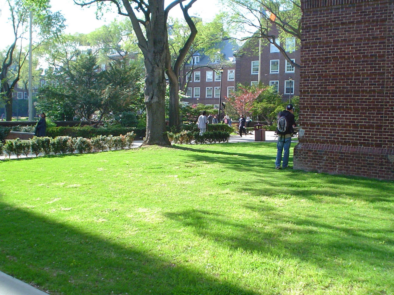 Photo of Brooklyn College in Kings County City, New York, United States - 3 Picture of Point of interest, Establishment