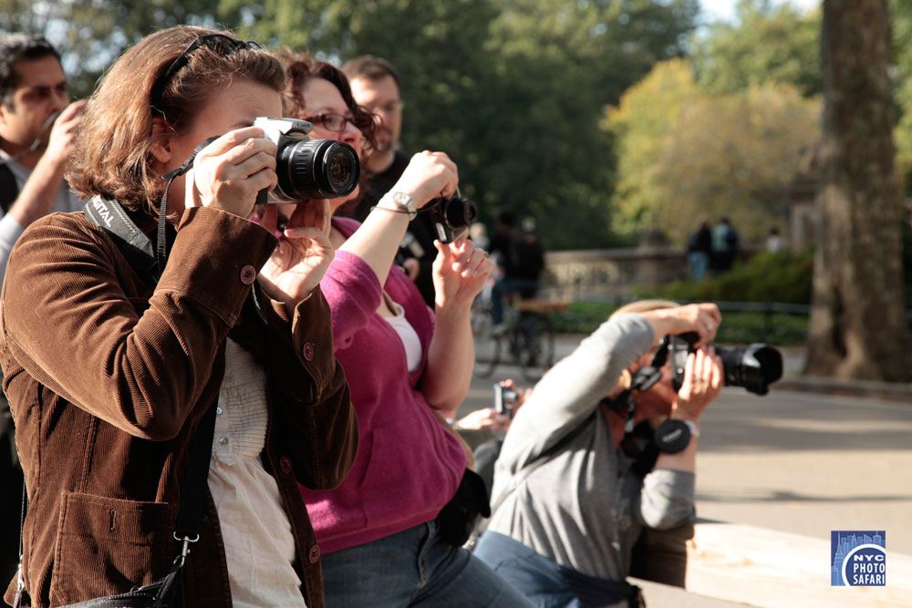 Photo of Central Park Photo Safari in New York City, New York, United States - 4 Picture of Point of interest, Establishment, Travel agency