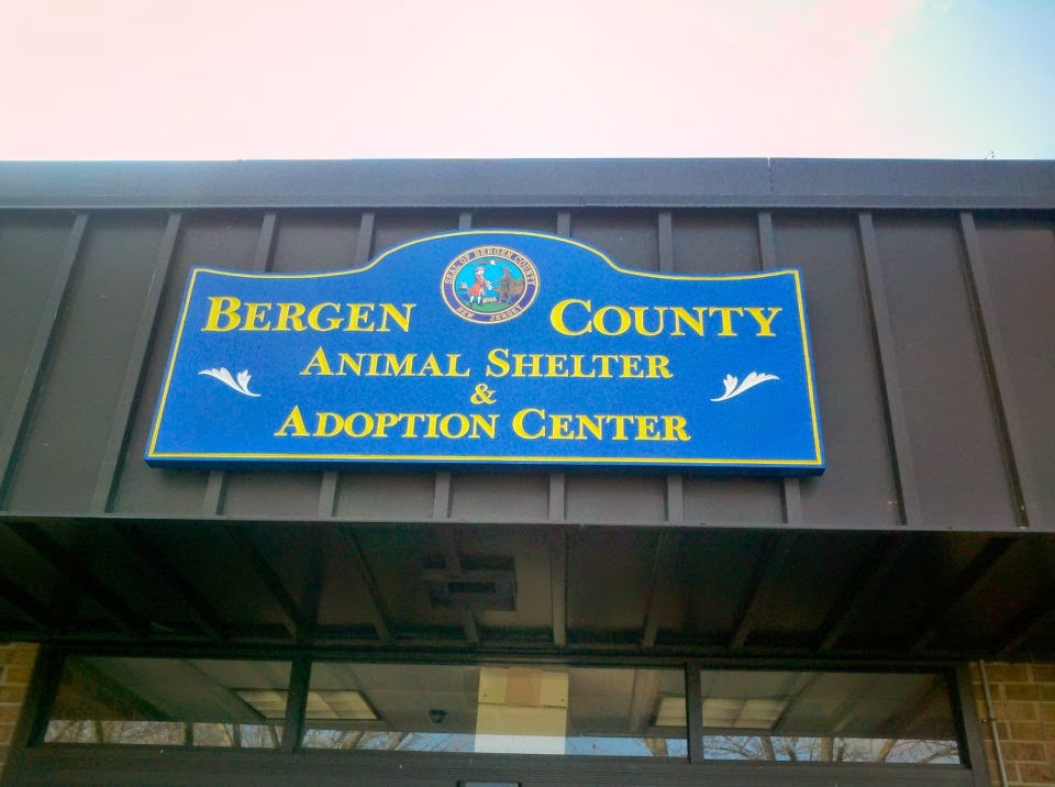 Photo of Bergen County Animal Shelter & Adoption Center in Teterboro City, New Jersey, United States - 1 Picture of Point of interest, Establishment, Local government office