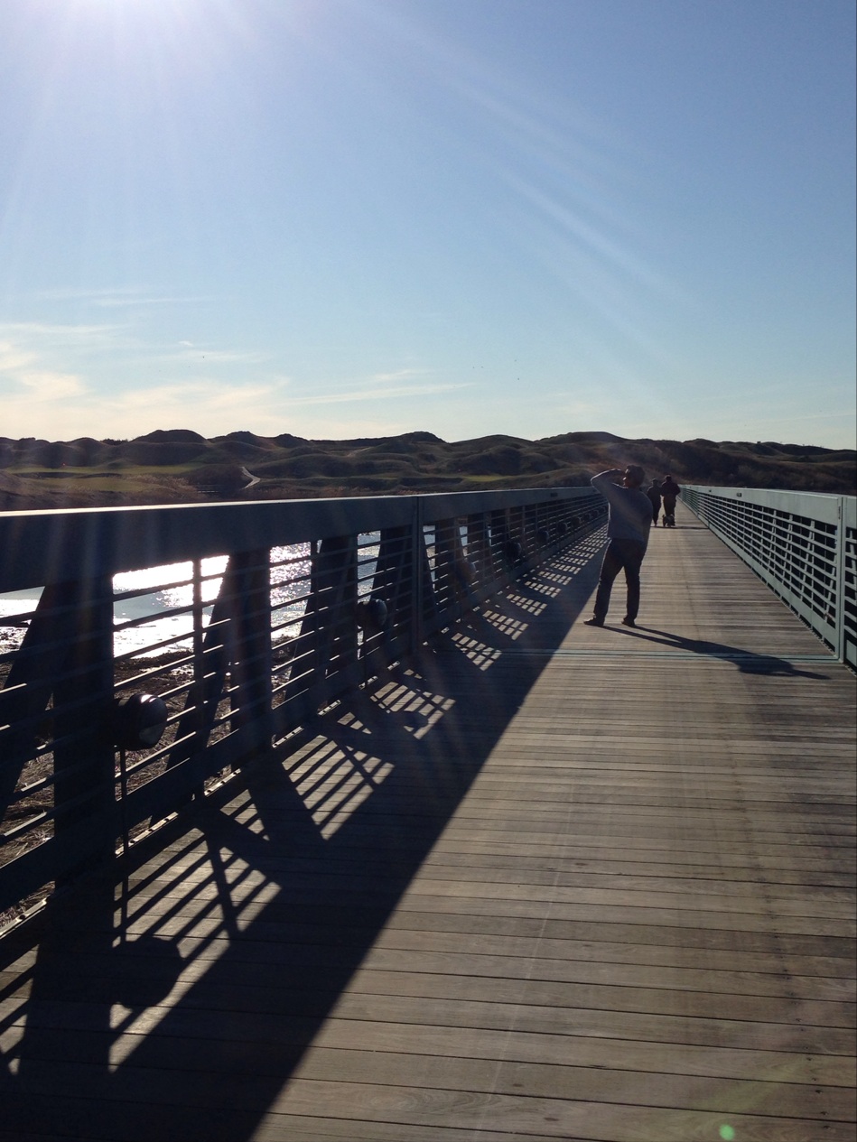 Photo of Bayonne Golf Club in Bayonne City, New Jersey, United States - 3 Picture of Point of interest, Establishment