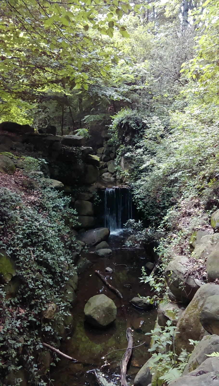 Photo of Prospect Park - Ravine in Kings County City, New York, United States - 6 Picture of Point of interest, Establishment, Park, Natural feature