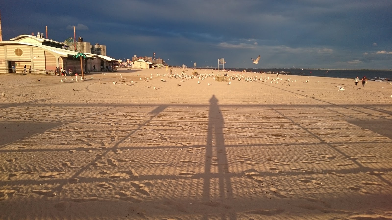 Photo of Steeplechase Pier in Brooklyn City, New York, United States - 3 Picture of Point of interest, Establishment