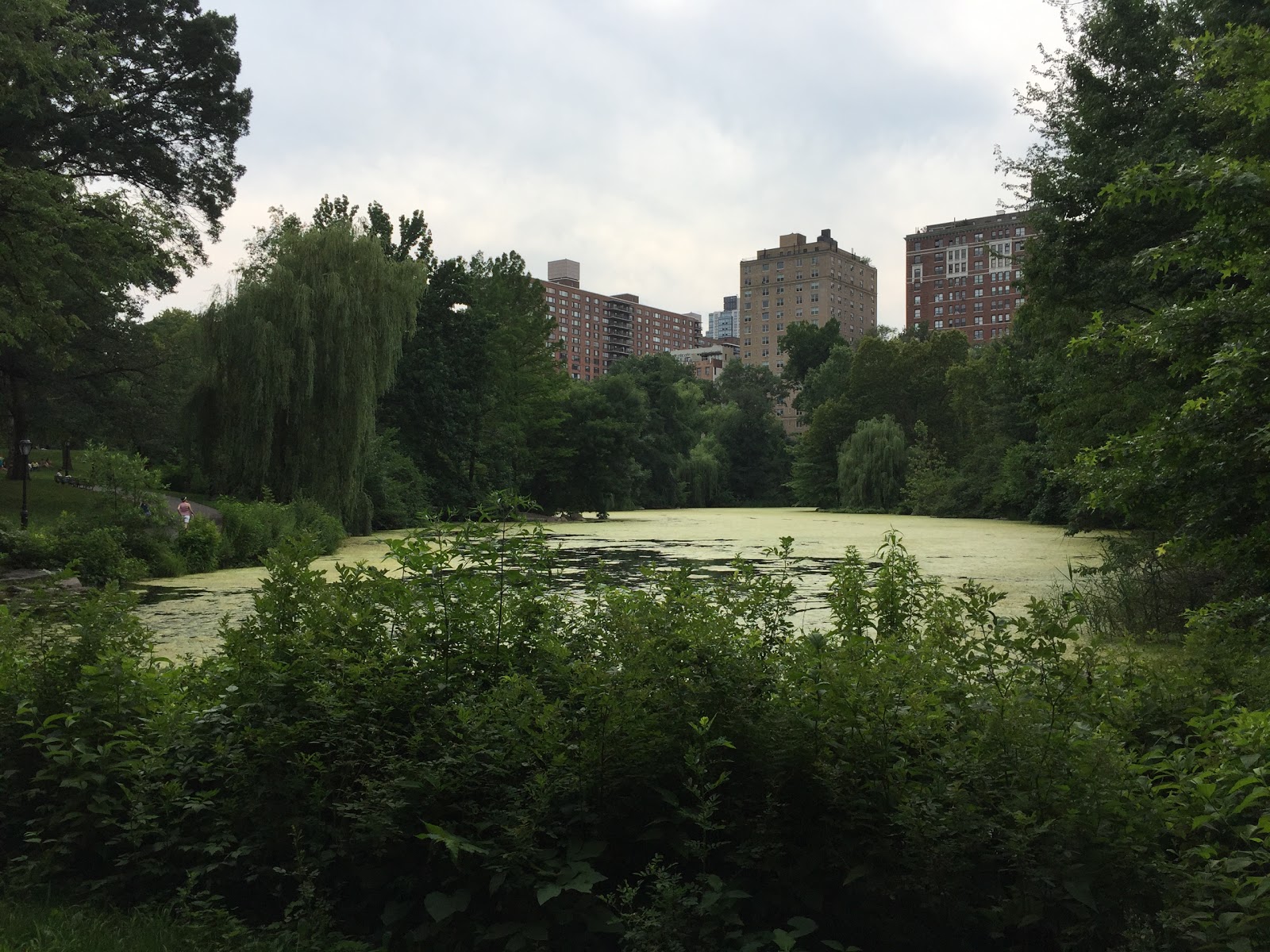 Photo of The Loch in Manhattan City, New York, United States - 3 Picture of Point of interest, Establishment, Park