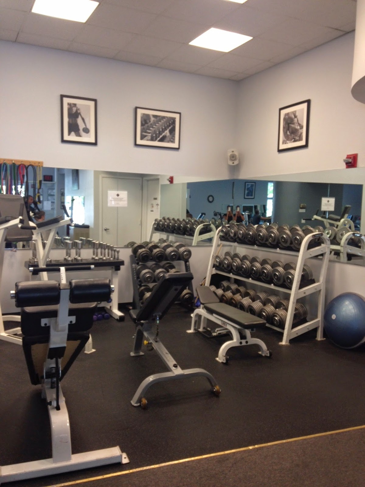 Photo of Elite Fitness in Locust Valley City, New York, United States - 9 Picture of Point of interest, Establishment, Health, Gym