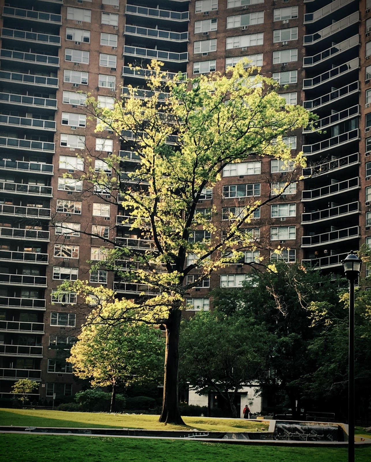 Photo of Parker Towers in Queens City, New York, United States - 2 Picture of Point of interest, Establishment