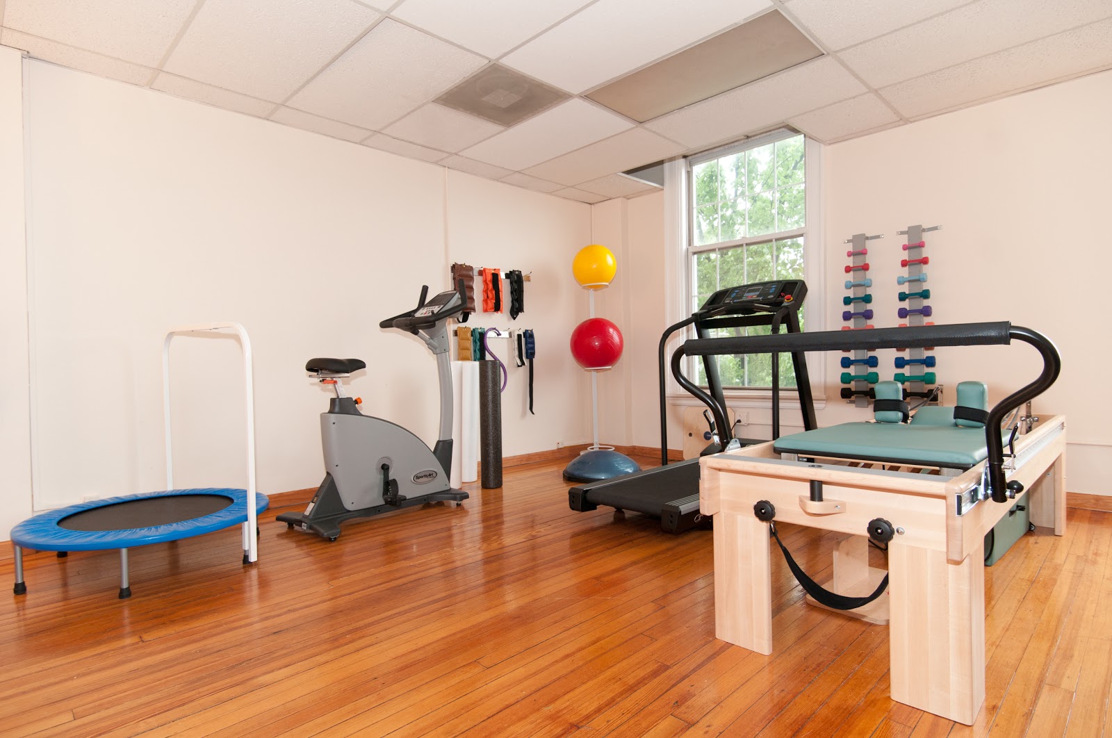 Photo of Renaissance Physical Therapy Arts + Wellness in Montclair City, New Jersey, United States - 1 Picture of Point of interest, Establishment, Health, Gym, Physiotherapist