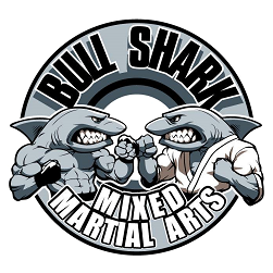 Photo of Bull Shark Mixed Martial Arts in Emerson City, New Jersey, United States - 2 Picture of Point of interest, Establishment, Health