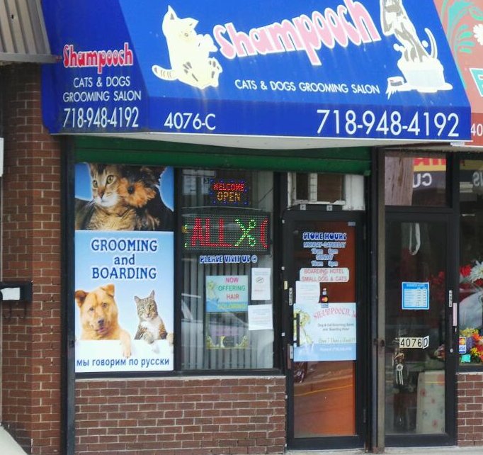 Photo of Shampooch in Staten Island City, New York, United States - 1 Picture of Point of interest, Establishment, Veterinary care