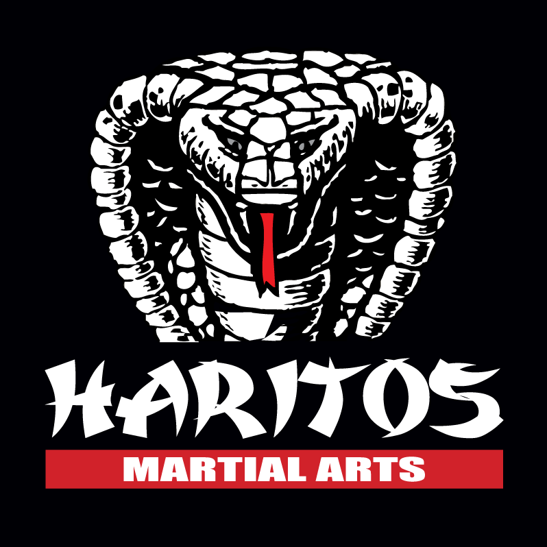 Photo of Haritos Martial Arts in Cliffside Park City, New Jersey, United States - 3 Picture of Point of interest, Establishment, Health, Gym