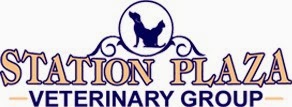 Photo of Station Plaza Veterinary Group in Glen Head City, New York, United States - 2 Picture of Point of interest, Establishment, Veterinary care