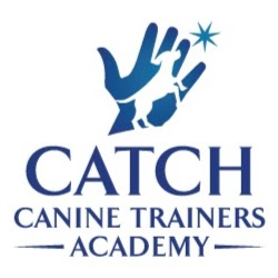 Photo of CATCH Canine Trainers Academy in Little Falls City, New Jersey, United States - 7 Picture of Point of interest, Establishment, School