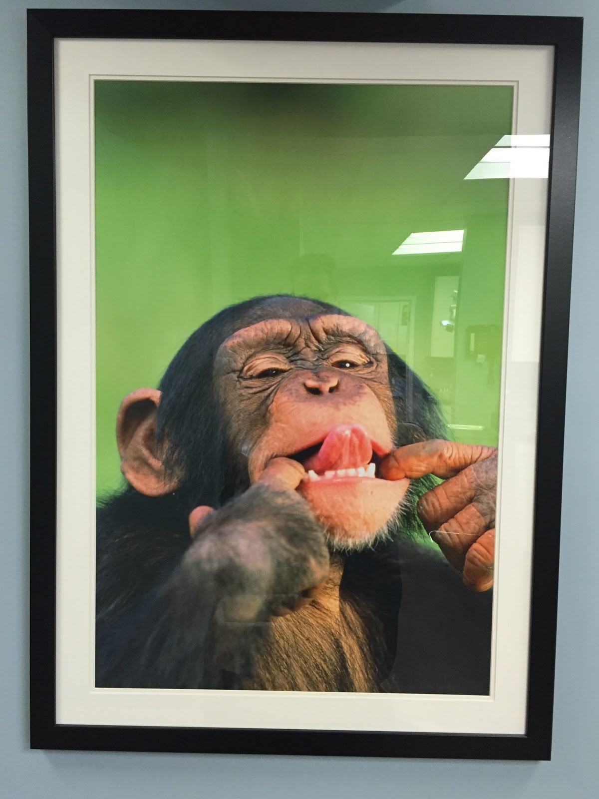 Photo of Unlimited Smiles Orthodontics in Kings County City, New York, United States - 10 Picture of Point of interest, Establishment, Health, Dentist