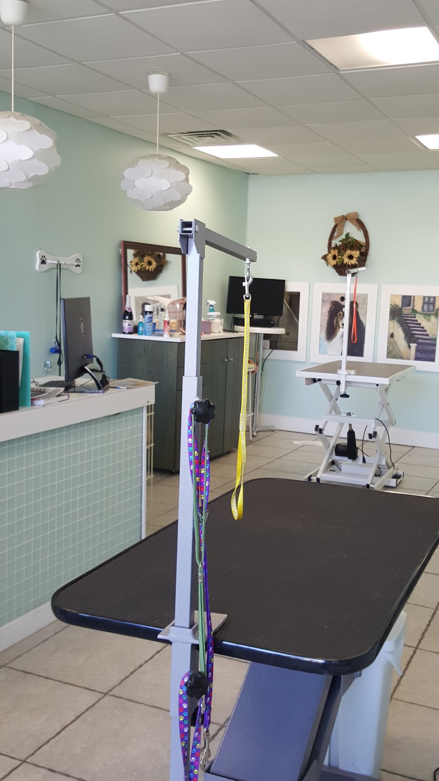 Photo of Happy Tails Pet Grooming Salon in Eastchester City, New York, United States - 3 Picture of Point of interest, Establishment