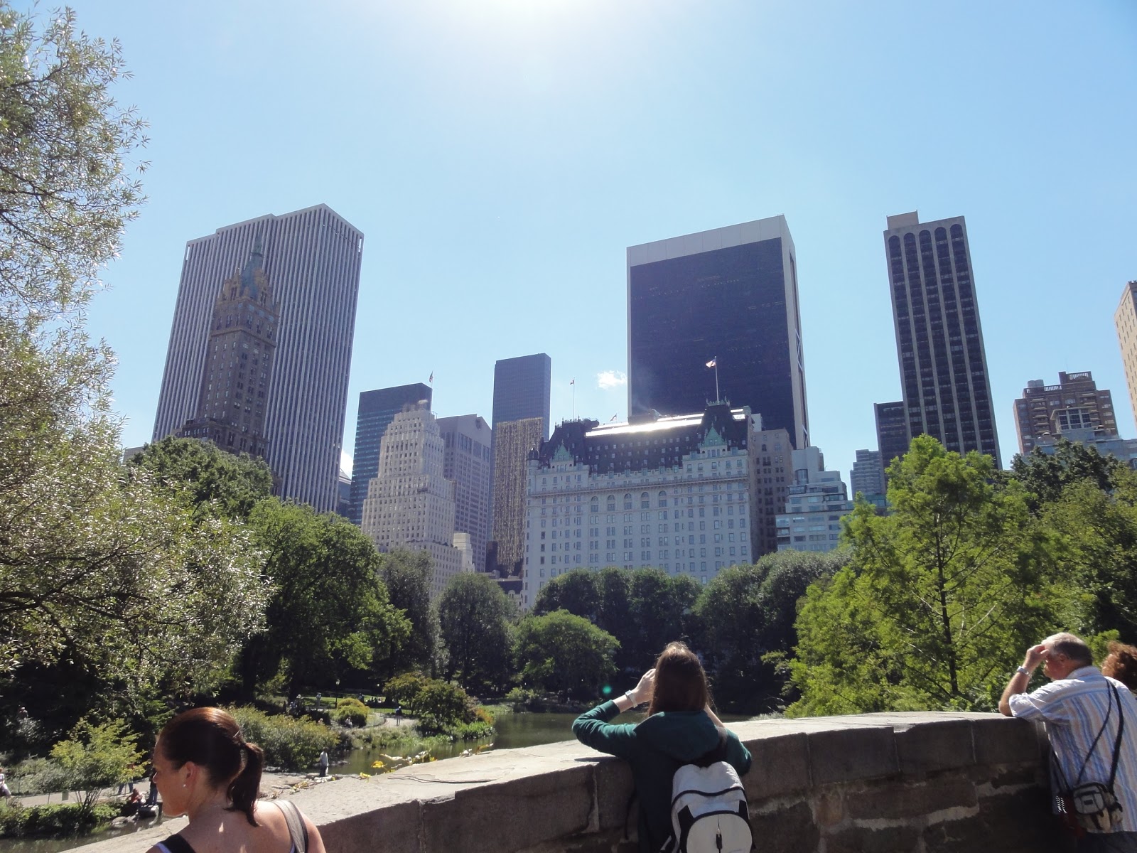 Photo of Gapstow Bridge in New York City, New York, United States - 3 Picture of Point of interest, Establishment