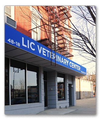 Photo of Long Island City Veterinary Center in Queens City, New York, United States - 5 Picture of Point of interest, Establishment, Veterinary care