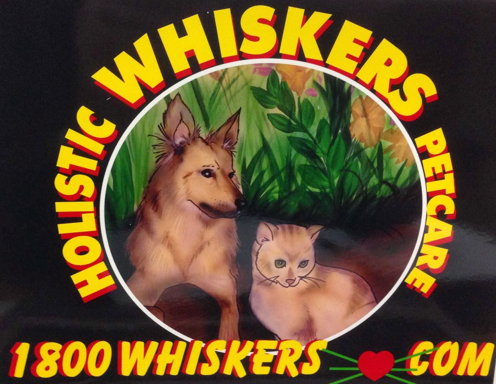 Photo of Whiskers Holistic Pet Care in New York City, New York, United States - 3 Picture of Point of interest, Establishment, Store, Pet store