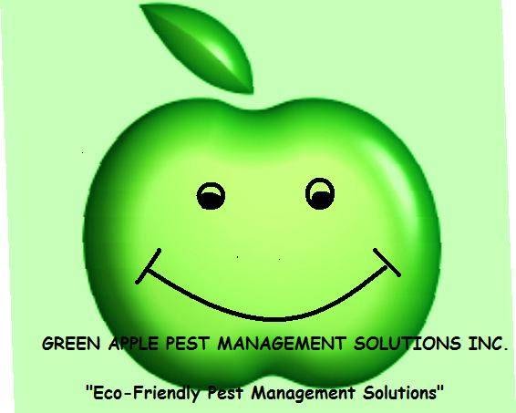Photo of Green Apple Pest Management Solutions Inc. in Kings County City, New York, United States - 1 Picture of Point of interest, Establishment, Store, Home goods store