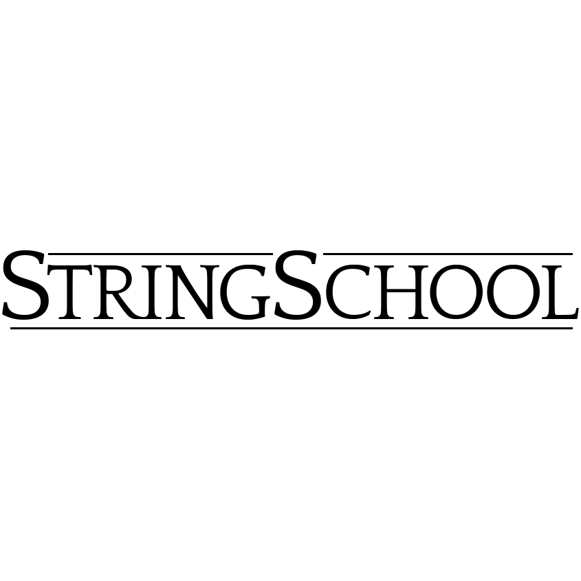 Photo of StringSchool : Violin Lessons for Adults in New York City, New York, United States - 6 Picture of Point of interest, Establishment