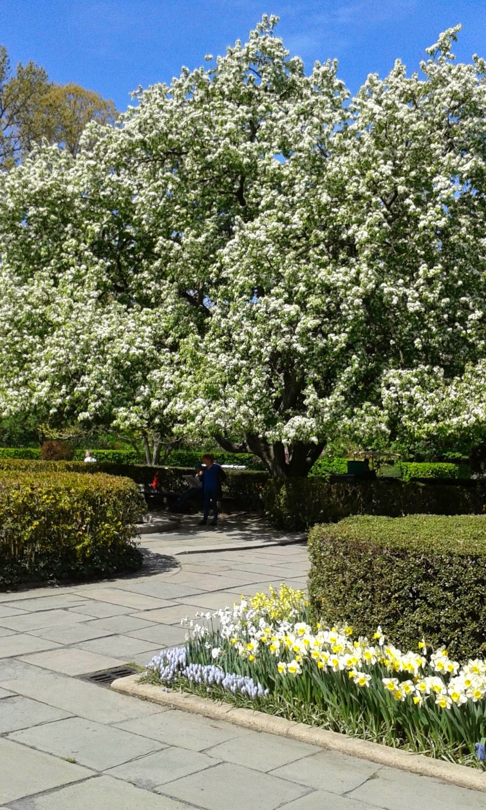 Photo of Conservatory Garden in New York City, New York, United States - 4 Picture of Point of interest, Establishment, Park