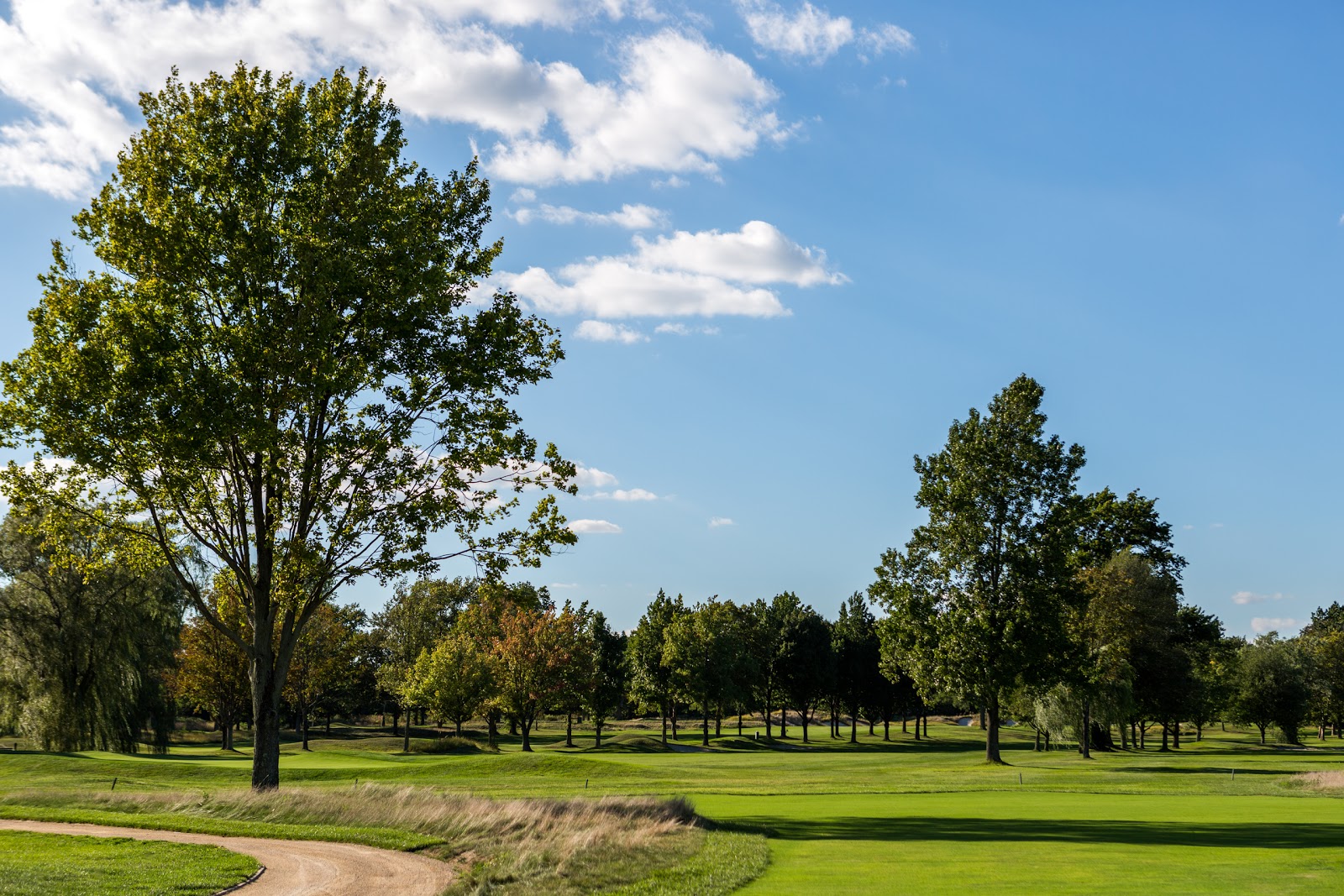 Photo of The Woodmere Club in Woodmere City, New York, United States - 3 Picture of Point of interest, Establishment