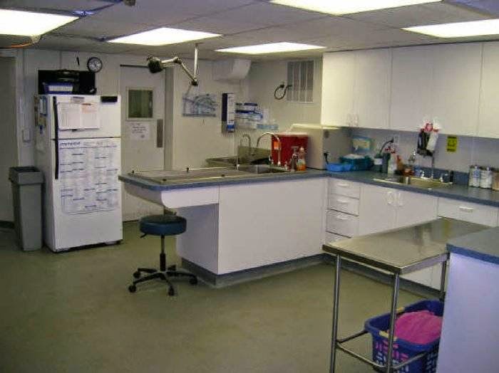 Photo of Rosebank Animal Hospital in Staten Island City, New York, United States - 2 Picture of Point of interest, Establishment, Veterinary care