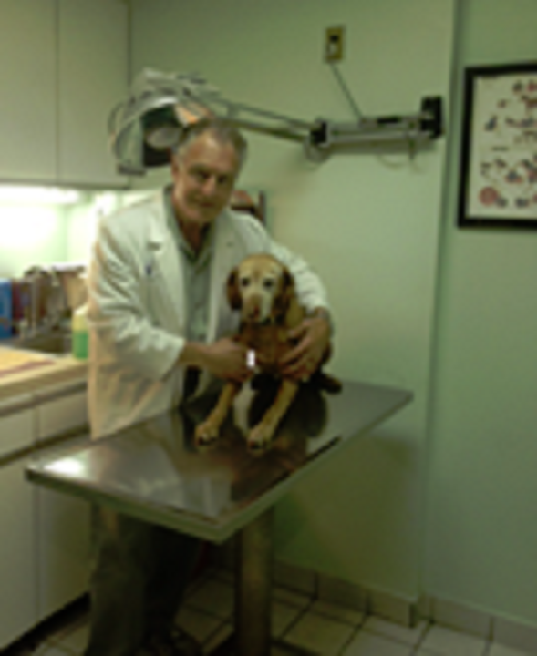 Photo of Throgs Neck Animal Hospital in Bronx City, New York, United States - 9 Picture of Point of interest, Establishment, Health, Veterinary care