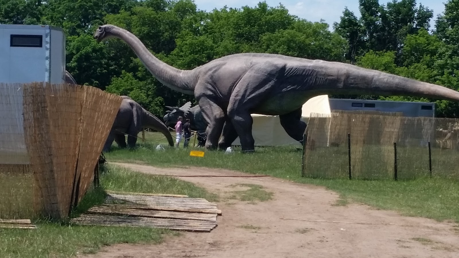 Photo of Field Station: Dinosaurs in Leonia City, New Jersey, United States - 10 Picture of Point of interest, Establishment, Amusement park