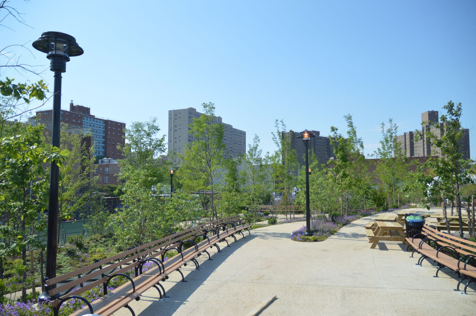 Photo of Ford Amphitheater at Coney Island Boardwalk in Kings County City, New York, United States - 3 Picture of Point of interest, Establishment