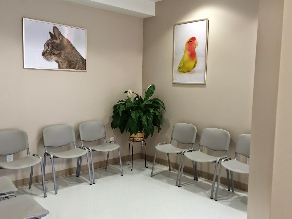 Photo of Union Animal Hospital in Union City, New Jersey, United States - 2 Picture of Point of interest, Establishment, Veterinary care