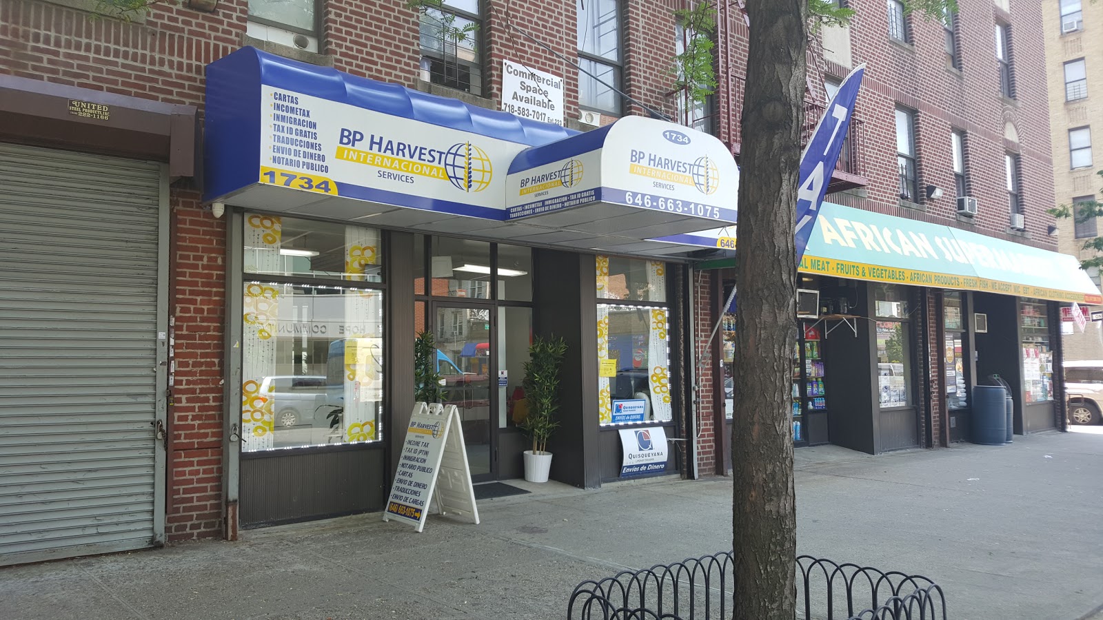 Photo of BP Harvest International Services in Bronx City, New York, United States - 2 Picture of Point of interest, Establishment, Finance, Accounting