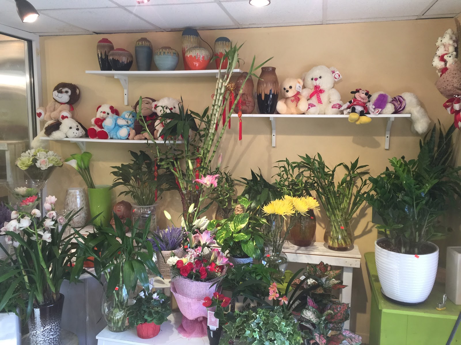 Photo of Flushing Flowers in Queens City, New York, United States - 9 Picture of Point of interest, Establishment, Store, Florist