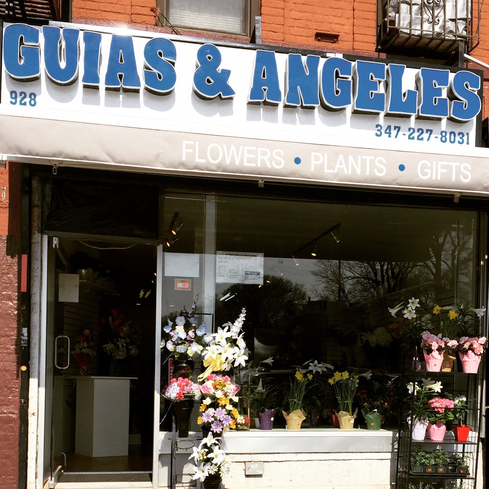 Photo of Guias Y Angeles Flower Shop in Kings County City, New York, United States - 7 Picture of Point of interest, Establishment, Store, Florist