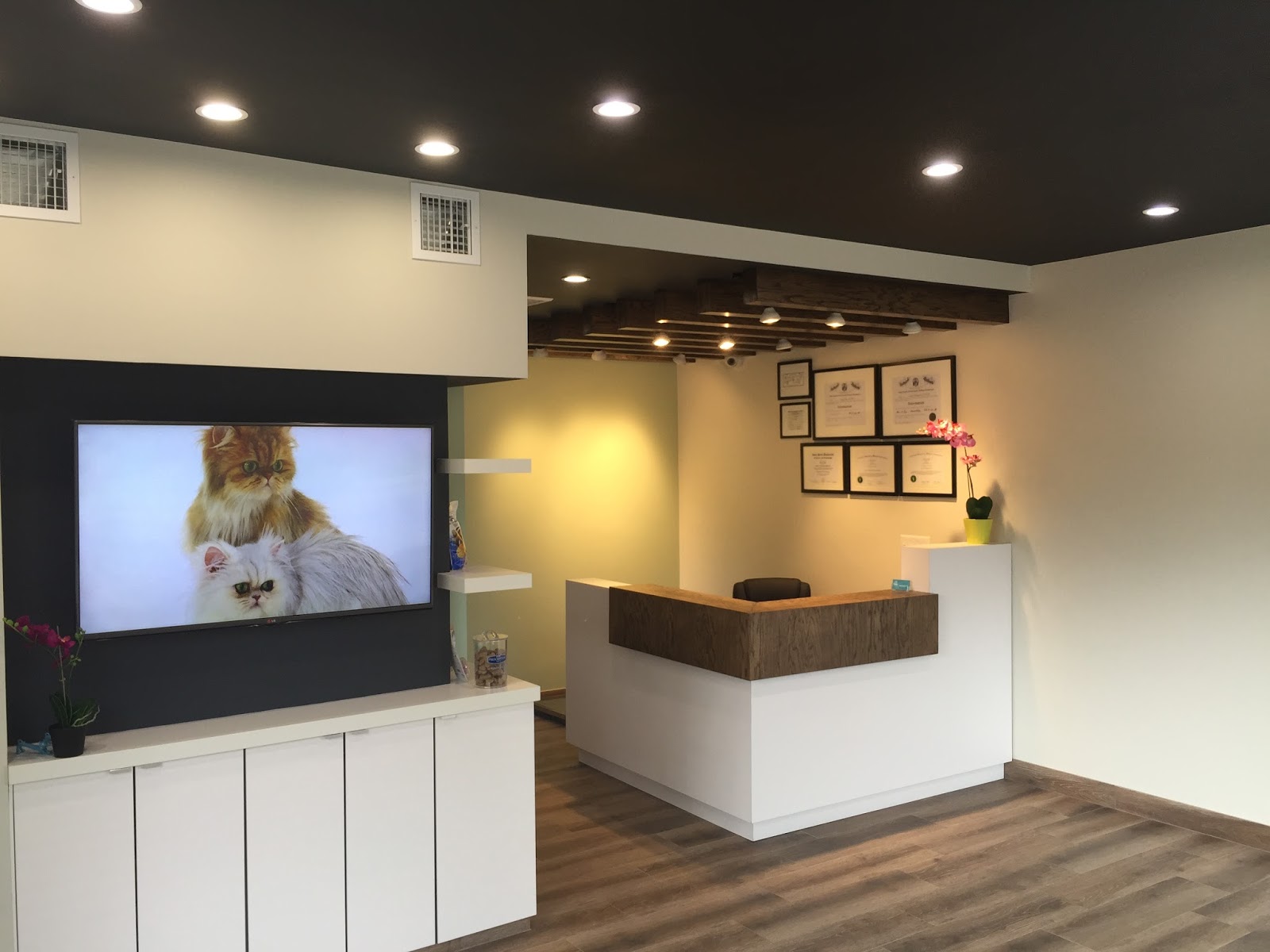 Photo of Cranford Animal Hospital in Cranford City, New Jersey, United States - 1 Picture of Point of interest, Establishment, Veterinary care