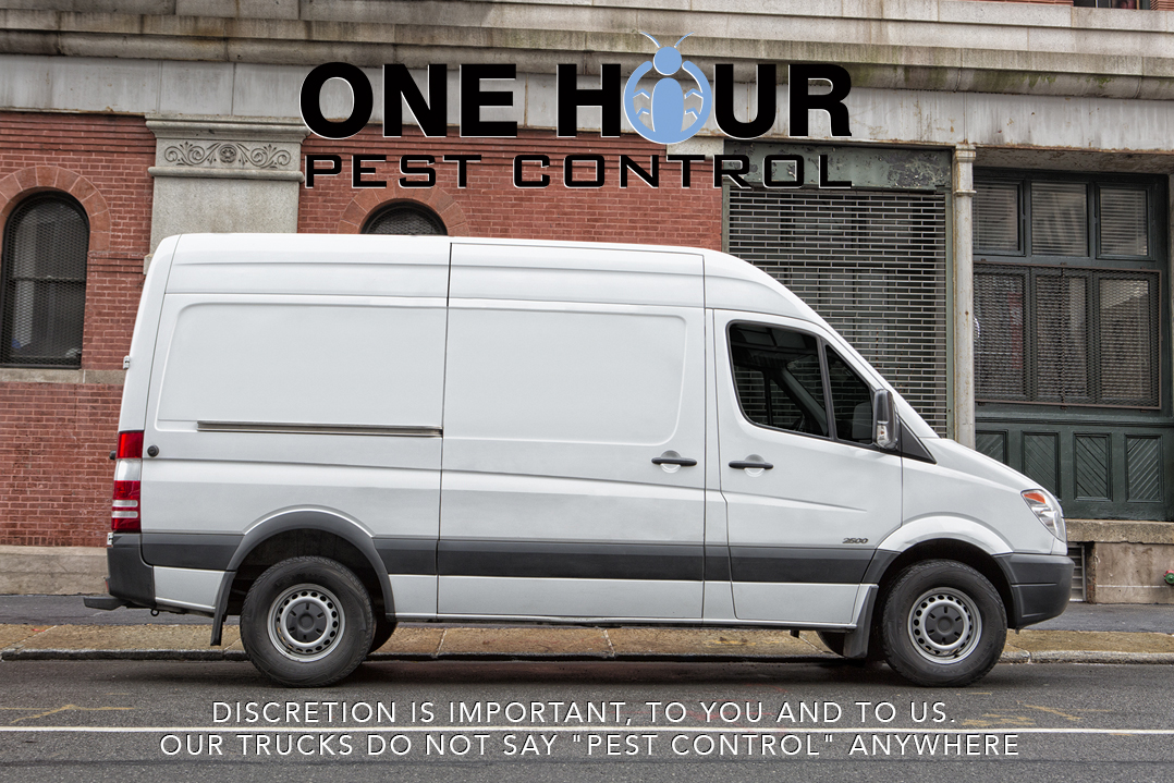 Photo of One Hour Pest Control in New York City, New York, United States - 3 Picture of Point of interest, Establishment, Store, Home goods store