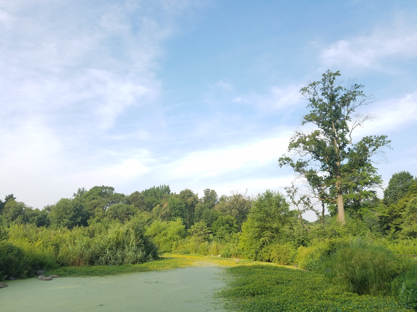 Photo of Chaim Baier Music Island and the Shelby White and Leon Levy Esplanade in Kings County City, New York, United States - 6 Picture of Point of interest, Establishment