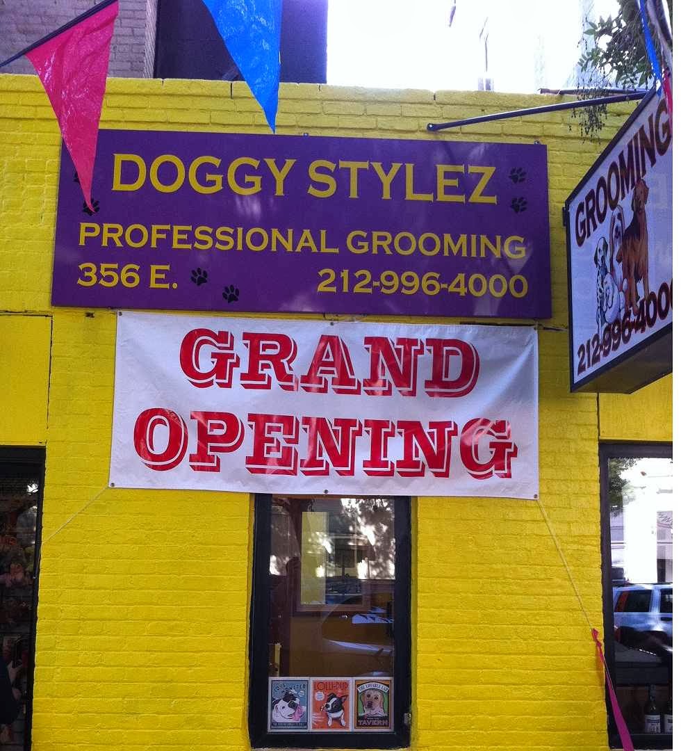 Photo of Doggy Stylez Grooming in New York City, New York, United States - 1 Picture of Point of interest, Establishment, Store