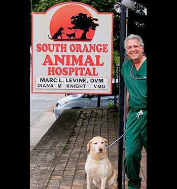 Photo of South Orange Animal Hospital in South Orange City, New Jersey, United States - 2 Picture of Point of interest, Establishment, Veterinary care