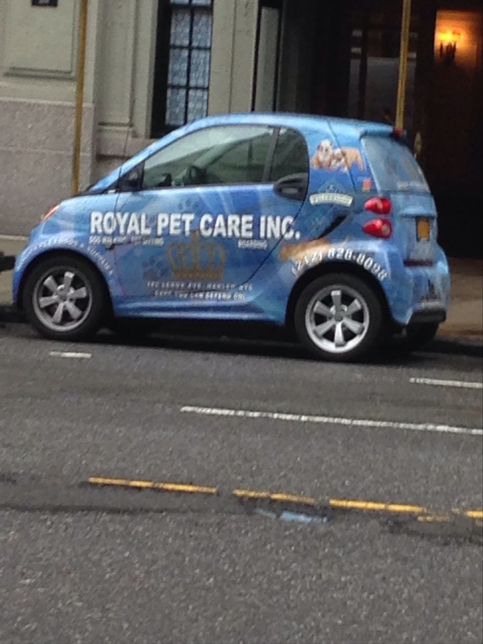 Photo of ROYAL PET CARE in New York City, New York, United States - 3 Picture of Point of interest, Establishment, Store, Pet store