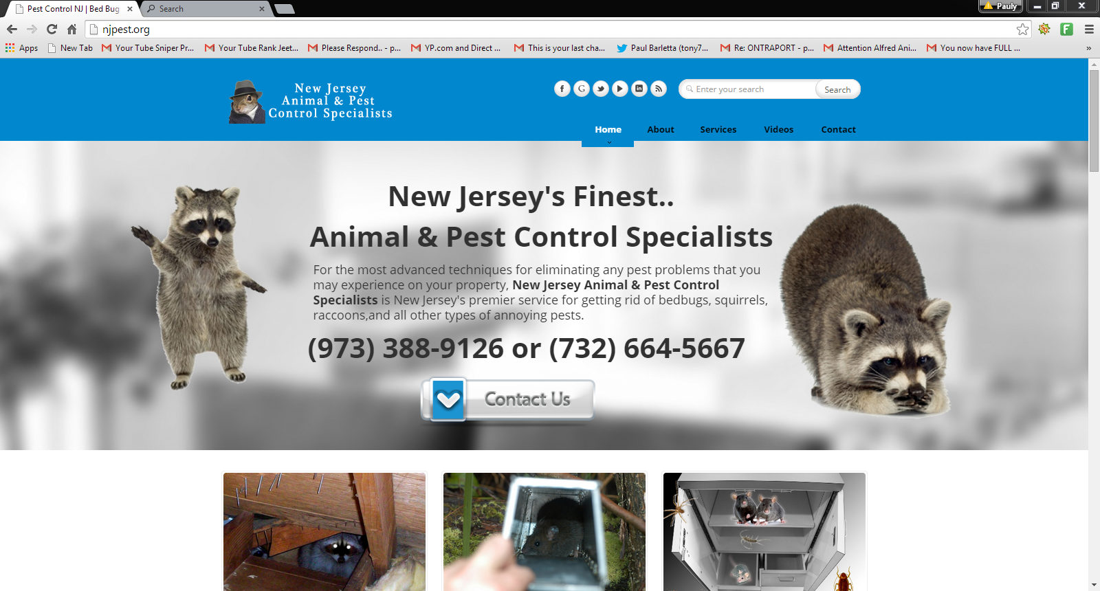 Photo of Full Service Animal & Pest Control Specialists.. in Carteret City, New Jersey, United States - 1 Picture of Point of interest, Establishment, Store, Home goods store, Park, Shopping mall