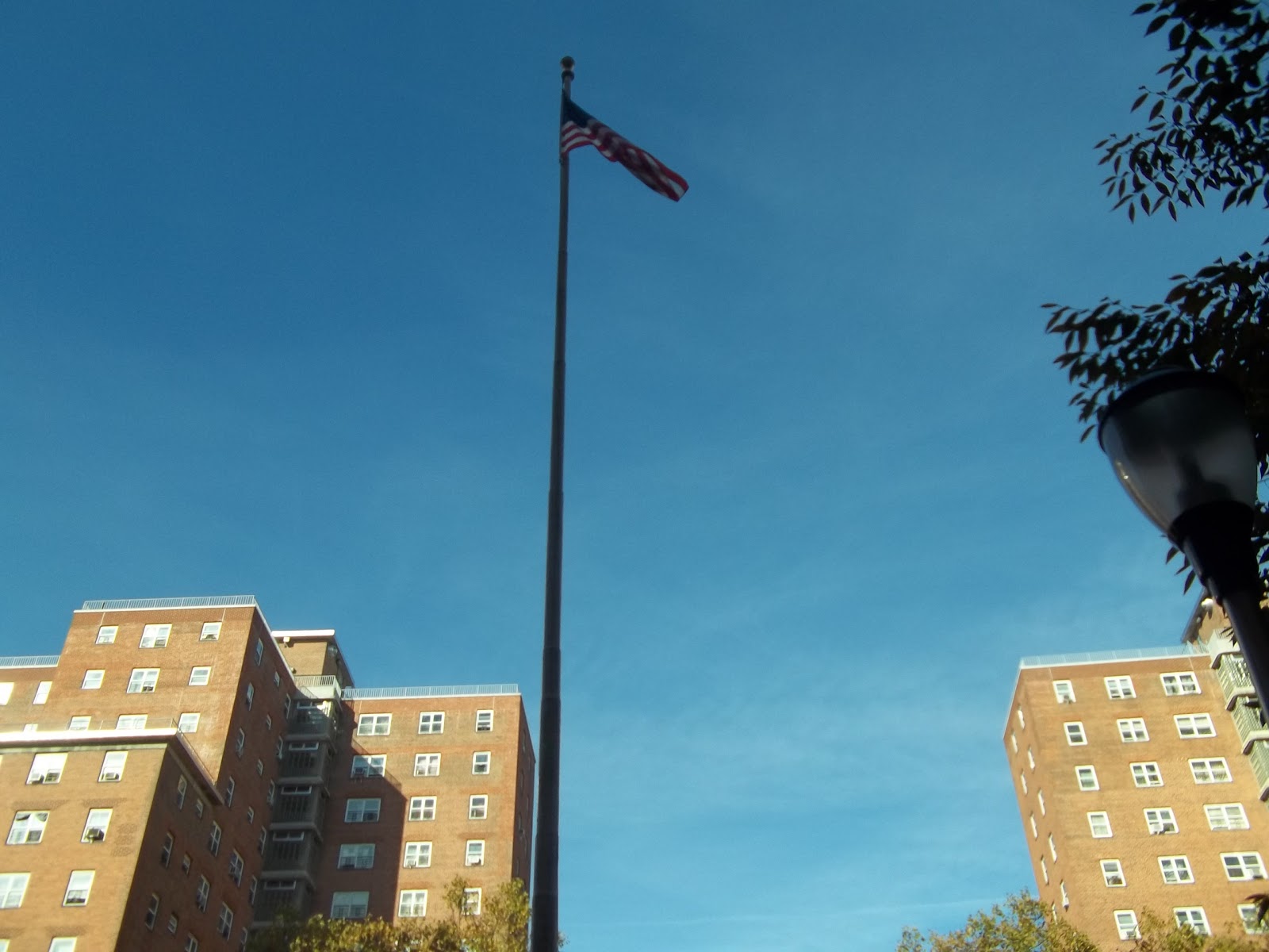 Photo of NEW YORK CITY HOUSING AUTHORITY James Weldon Johnson in New York City, New York, United States - 6 Picture of Point of interest, Establishment